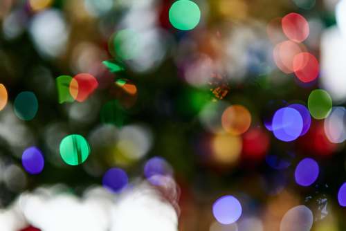 background bokeh photography of green and red lights lights
